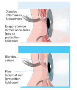De3 Omega Complement alimentaire oculaire